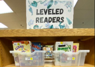 Early reader books stored in clear bins.